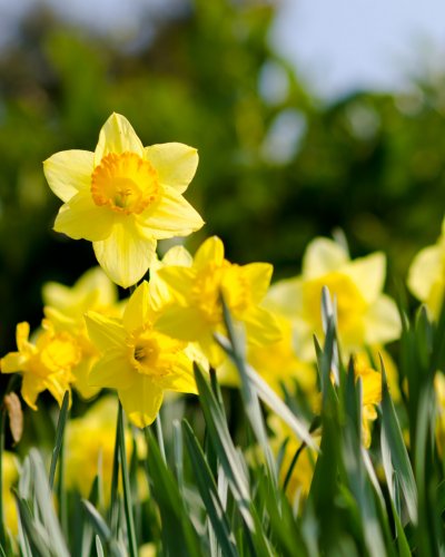 Gewinnzahlen Osterlosaktion 2023