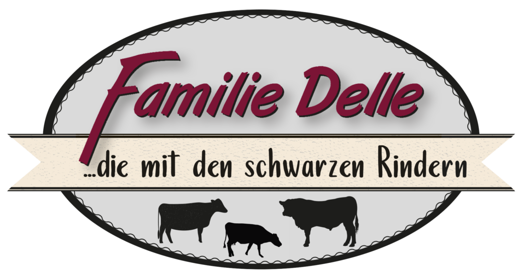 Sonne Gundelfingen Delle Logo