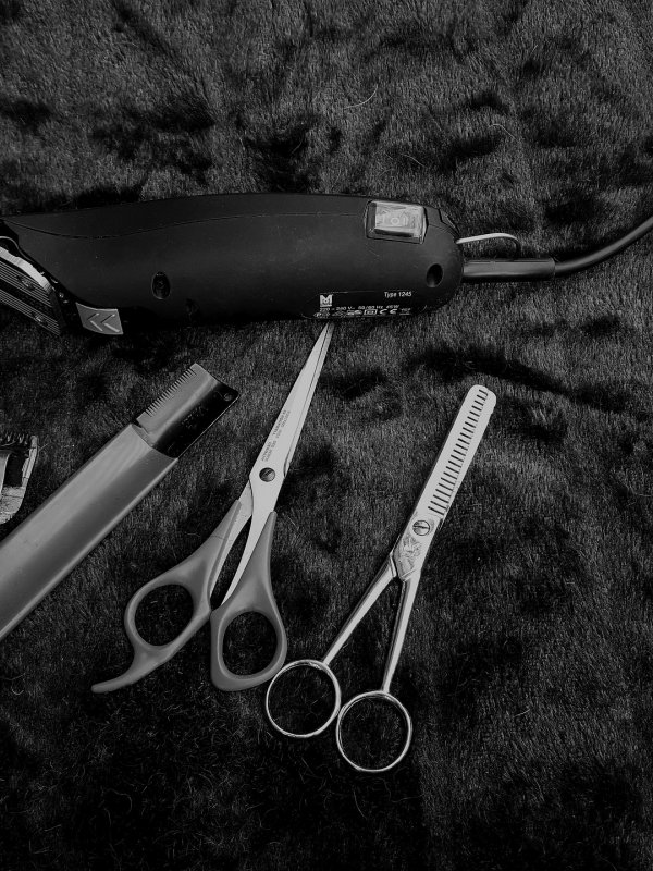 Hair Wellness Lounge Albrecht